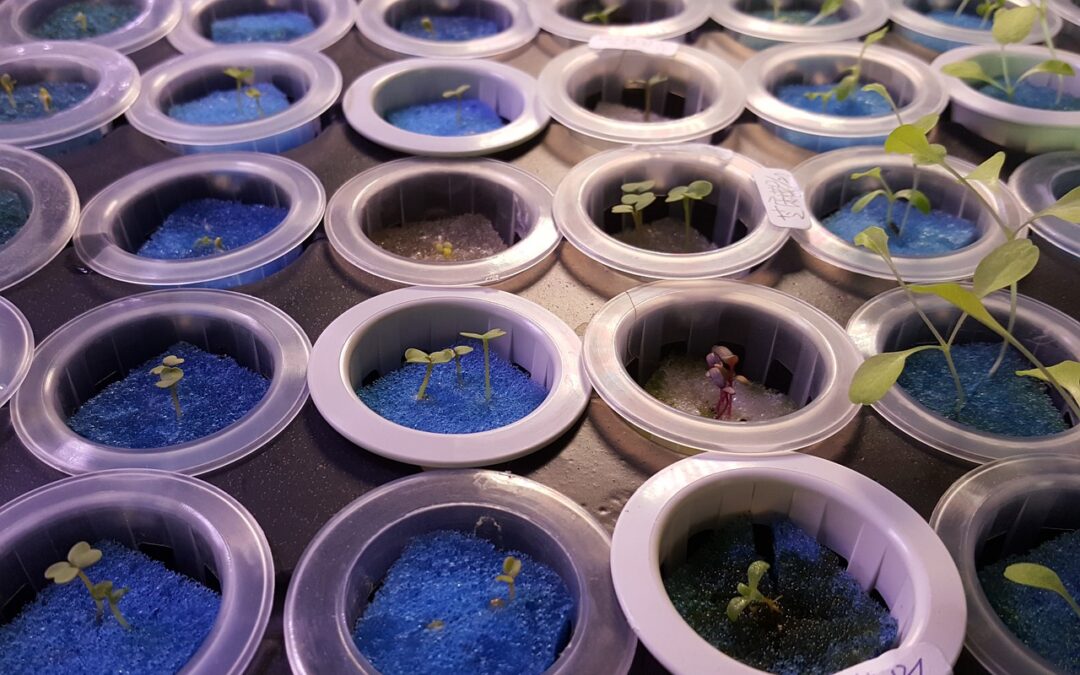 How Often Do You Clean the Hydroponic Reservoir?