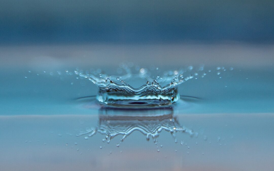 How Often Do You Change Hydroponic Water?
