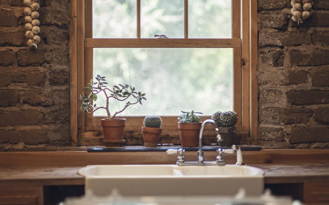 Why is Hydroponics Not Organic?